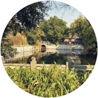 小虾米闯江湖单机版下载
